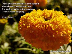 sean_connery_quotes Quotes 2